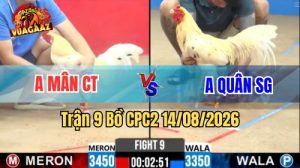 Trận 9 CPC2 Ngày 14/8/2026 Trên Vua Gà AZ