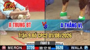 Trận 9 CPC2 Ngày 1/8/2026 Tại Vua Gà AZ