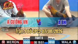 Trận 9 CPC2 Ngày 7/8/2026 Vua Gà AZ