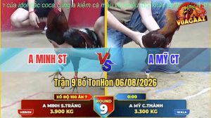 Trận 9 TonHon 06/08/2026 – Anh Mỹ Chấp Anh Minh 6 Chấm Vẫn Lụm