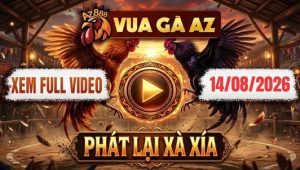 Xem Full video đá gà Xà Xía ngày 14/8/2026 Tại Vua Gà AZ
