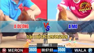 Trận 1 CPC2 29/09/2026 – Anh Dương Lùa 1 Anh Mo Trong 1 Tay Nước