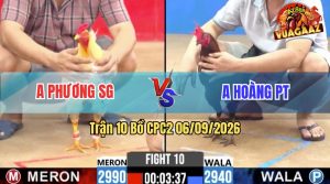Trận 10 CPC2 06/09/2026 – Gà Úa Gồng Gánh Cứu Chủ Thành Công