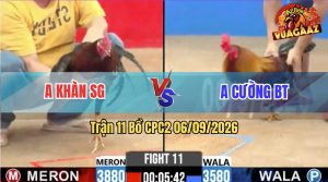Trận 11 CPC2 06/09/2026 – Anh Cường Không Cho Anh Khàn Cơ Hội Nào