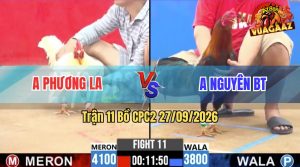 Trận 11 CPC2 27/09/2026 – Gà Điều Anh Nguyên Chấp 3 Chấm Vẫn Lụm Gọn