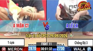 Trận 11 CPC2 29/09/2026 – Gà Úa Anh Mận Có Pha Lội Ngược Dòng