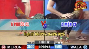 Trận 12 CPC2 26/09/2026 – Gà Chuối Anh Mận Gồng Gánh Thắng Ngược