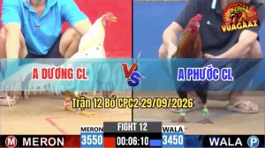 Trận 12 CPC2 29/09/2026 – Gà Điều Anh Phước Bươi Chà Như Cái Máy