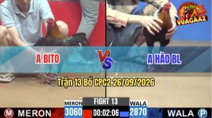 Trận 13 CPC2 26/09/2026 – Anh Bito Tung Gà Hiệu Ra Bươi Chà Quá Dữ