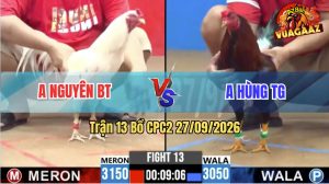 Trận 13 CPC2 27/09/2026 – Anh Hùng TG Làm Thịt Anh Nguyên BT