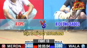 Trận 13 CPC2 28/09/2026 – Gà Bướm Anh Cường Sadec Đá Quá Hay