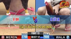 Trận 13 CPC2 29/09/2026 – Anh Lê LX Hạ Đối Thủ Chưa Tới 3 Chân