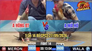 Trận 14 CPC2 27/09/2026 – Gà Anh Mã Hổ Nạp Siết Quá Tốc Độ