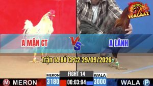Trận 14 CPC2 29/09/2026 – Anh Lành Làm Thịt Anh Mận Trong 1 Nốt Nhạc