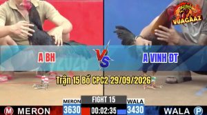 Trận 15 CPC2 29/09/2026 – Anh Vinh Đồng Tháp Gặp Phải Hàng Hiệu