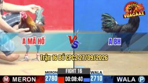 Trận 16 CPC2 27/09/2026 – Anh Mã Hổ Đá Không Cho Đối Thủ Cơ Hội Nào