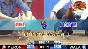 Trận 17 CPC2 26/09/2026 – Gà Anh Khá Quá Trâu, Gồng Gánh Tới Phút 90