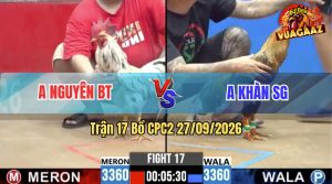 Trận 17 CPC2 27/09/2026 – Gà Cú Anh Nguyên BT Đá Đâm Như Đời Tới