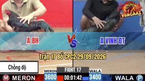 Trận 17 CPC2 29/09/2026 – Anh Vinh Làm Thịt Luôn Gà Chồng Độ