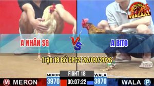 Trận 18 CPC2 26/09/2026 – Anh Bito Tung Gà Xám Vào Đá Quá Đâm