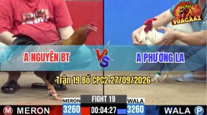 Trận 19 CPC2 27/09/2026 – Gà Anh Phương Đá Đâm Cựa Quá Khủng