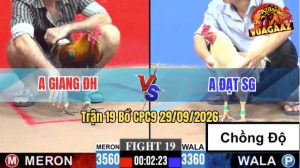 Trận 19 CPC9 29/09/2026 – Gà Anh Đạt Chồng Độ Đá Như Cái Máy