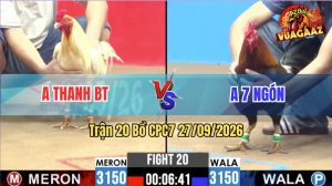 Trận 20 CPC2 28/09/2026 – Gà Điều Anh Bảy Tránh Né Quá Hay