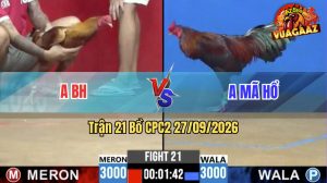 Trận 21 CPC2 27/09/2026 – Anh Mã Hổ Đụng Phải Đối Thủ Cứng Cựa