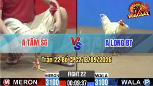 Trận 22 CPC2 13/09/2026 – Anh Tâm SG Đá Đòn Cựa Quá Khủng