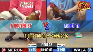 Trận 22 CPC2 27/09/2026 – Gà Cú Anh Hiền Đá Chỉ Trong 1 Nốt Nhạc