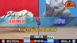 Trận 23 CPC2 30/09/2026 – Anh Vũ TV Đánh Bại Anh Cường Dễ Dàng