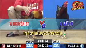 Trận 24 CPC2 27/09/2026 – Anh Nguyên Tung Chiến Kê Đá Cái Bo Quá Khủng