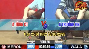 Trận 25 CPC2 26/09/2026 – Gà Anh Trường ĐN Toàn Canh Đá Đầu Cầu