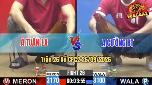 Trận 26 CPC2 26/09/2026 – Gà Anh Tuấn Đá Thưa Cựa Nhưng Vẫn Về Bờ