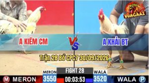 Trận 28 CPC7 30/09/2026 – Anh Kiểm Cà Mau Gặp Anh Khải Bến Tre