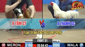 Trận 31 CPC2 13/09/2026 – Anh Thanh GC Làm Thịt Anh Tâm CT