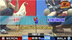 Trận 32 CPC2 26/09/2026 – Gà Điều Idol Đụng Phải Cọp Thì Té Xe