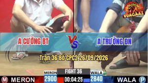 Trận 36 CPC2 26/09/2026 – Anh Cường BT Làm Thịt Anh Trường ĐN