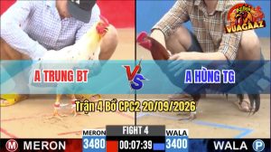 Trận 4 CPC2 20/09/2026 – Gà Điều Anh Hùng Đá Đòn Như Cây Đập