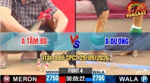 Trận 4 CPC2 29/09/2026 – Anh Dương Làm Thịt Anh Tâm Nhanh Gọn