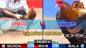 Trận 4 CPC9 29/09/2026 – Gà Anh Duol CPC Dở Giò Là Có Cựa