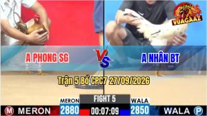Trận 5 CPC2 28/09/2026 – Anh Phong Tung Chiến Kê Đá Đâm Như Chỉa