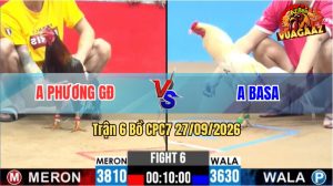 Trận 6 CPC2 28/09/2026 – Gà Bướm Anh Basa Đá Đâm Cây Hiểm Ngay Ngực