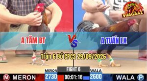 Trận 6 CPC2 29/09/2026 – Gà Khét Anh Tâm BT Siết 3 Chân Lụm Tiền