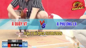 Trận 7 CPC2 27/09/2026 – Gà Bướm Anh Phương Chấp Trạng Mà Quá Đá