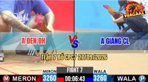 Trận 7 CPC2 28/09/2026 – Anh Đen Bị Dí Bạc Mà Đá Quá Trên Cơ