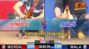 Trận 7 CPC2 29/09/2026 – Anh Bác Sĩ Làm Thịt Anh Phước CL