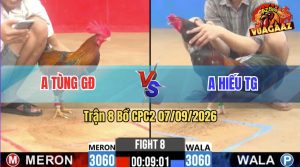 Trận 8 CPC2 07/09/2026 – Anh Tùng Gò Đen Gặp Anh Hiếu Tiền Giang