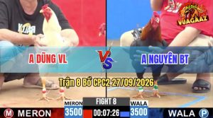 Trận 8 CPC2 27/09/2026 – Anh Nguyên Không Cho Anh Dũng Cơ Hội Nào