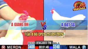 Trận 8 CPC9 29/09/2026 – Anh Giang Đức Hoà Gặp Anh Đạt Sài Gòn